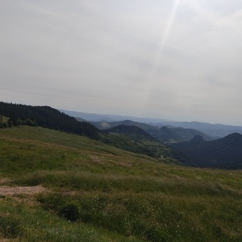 IMG_20230627_104038