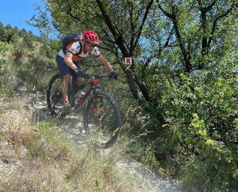 VTT