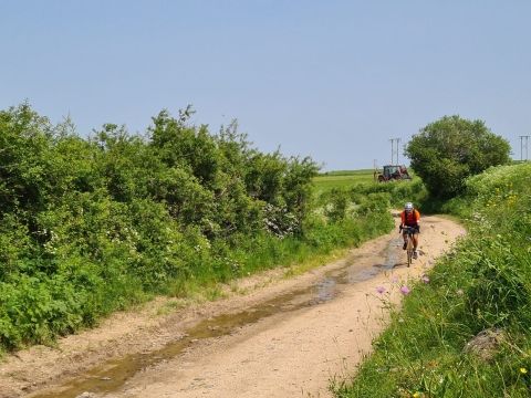 WhatsApp Image 2025-06-09 at 18.55.31.jpeg