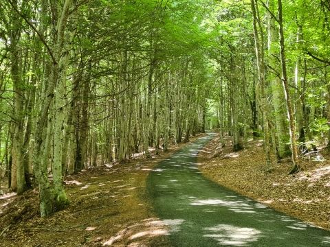 WhatsApp Image 2025-06-14 at 11.49.46.jpeg